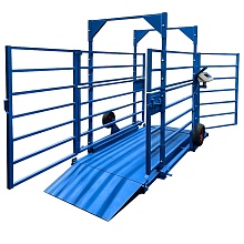 Весы Невские весы ВСП4-ЖСО для взвешивания КРС